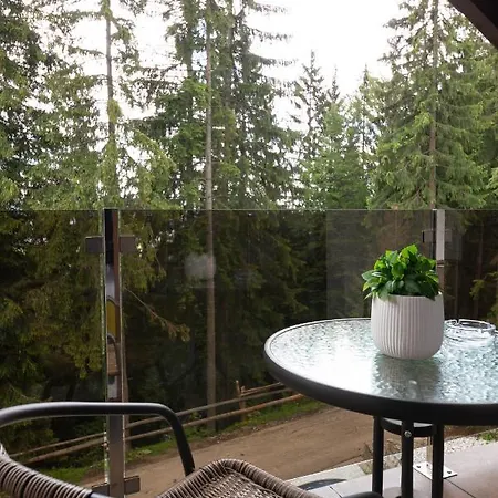 Good Days Shale 4 км до буковеля Chalet Yablunytsya