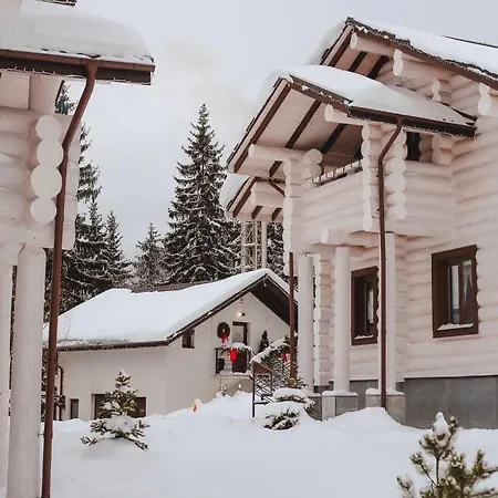 Good Days Shale 4 км до буковеля 샬레 야블루니츠야