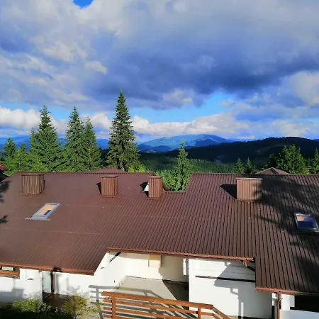 Good Days Shale 4 км до буковеля *