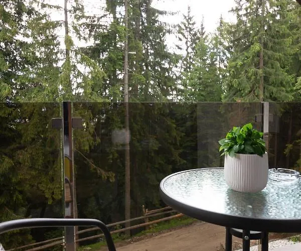Good Days Shale 4 км до буковеля Chalet Yablunytsya