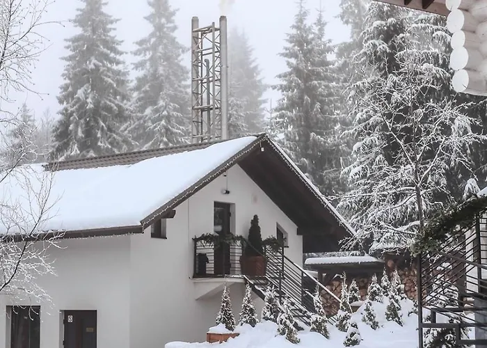 Chalet Good Days Shale 4 км до буковеля *